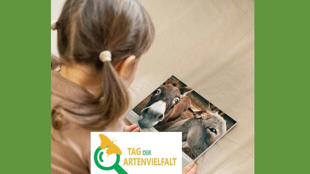 Foto von einem Mädchen, das ein Tierbuch liest
